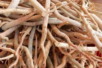Tongkat Ali Root